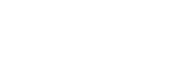 投票する