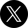 公式X